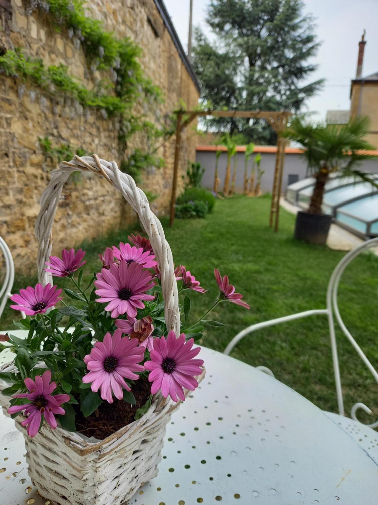 Appartement, 2Eme Etage Avec Piscine Partagee ซีดาน ภายนอก รูปภาพ